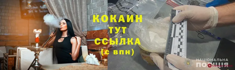 КОКАИН Fish Scale Богородицк